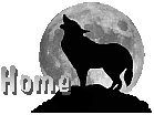 Return to Home Page/Link